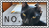 A banner of a photo of a black cat with the text 'NO.'